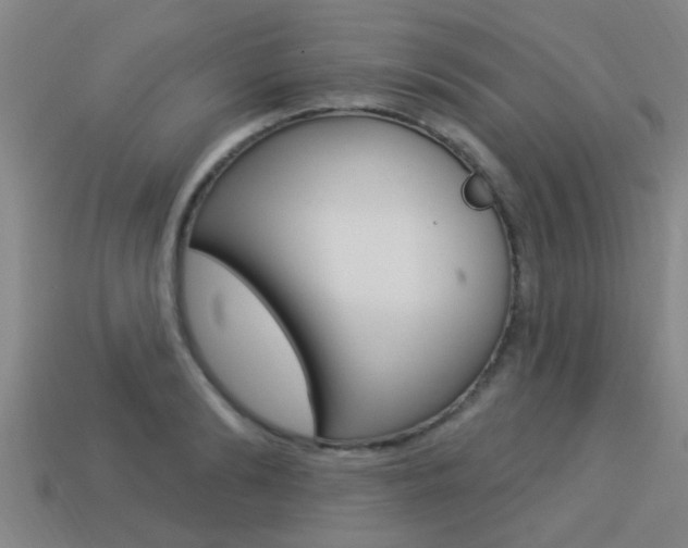 X0000113340894200909151003