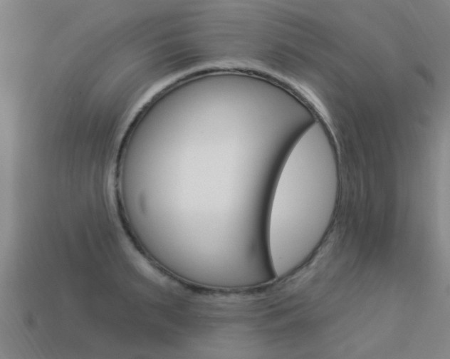 X0000113340895200909151003