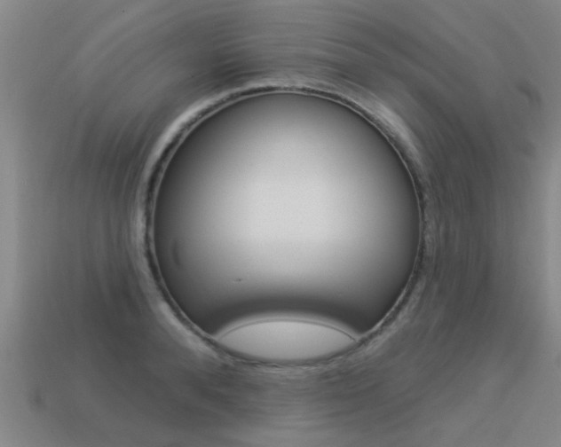 X0000113340896200909151003
