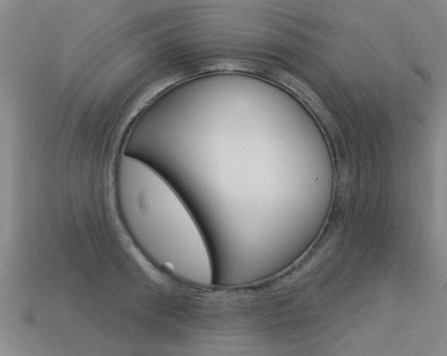 X0000113340898200909151003