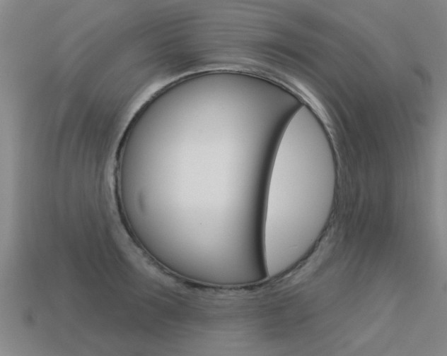 X0000113340899200909151003
