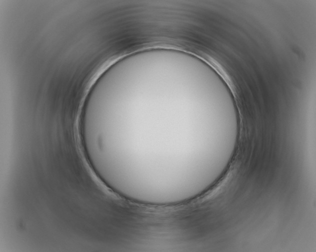 X0000113340901200909151003