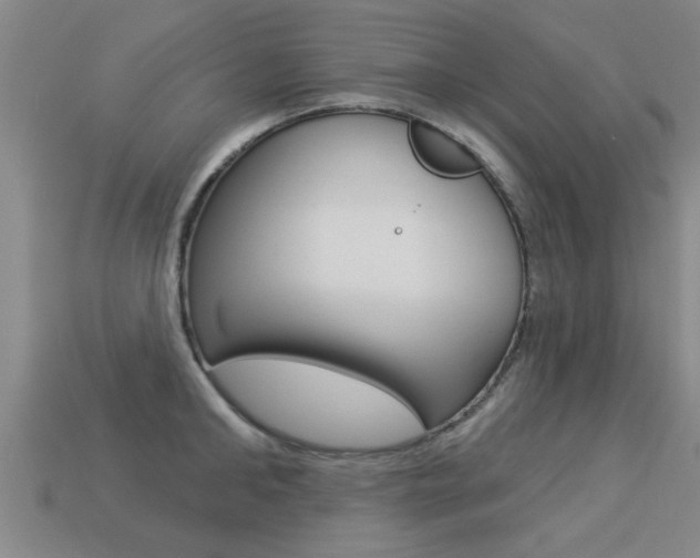 X0000113340902200909151003