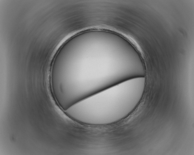 X0000113340903200909151003