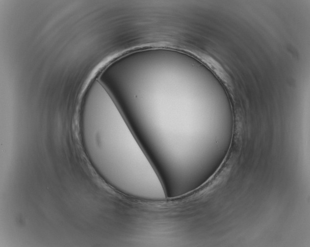 X0000113340904200909151003