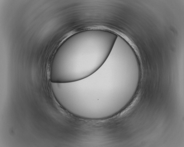 X0000113340905200909151003