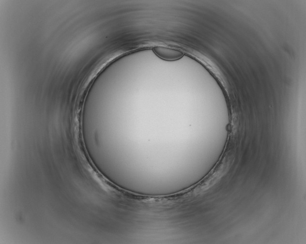 X0000113340906200909151003