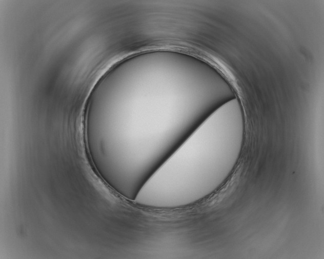 X0000113340907200909151003