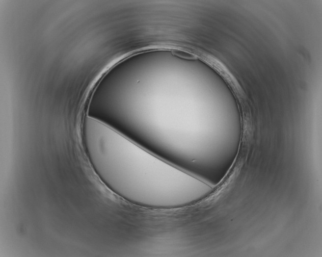 X0000113340908200909151003