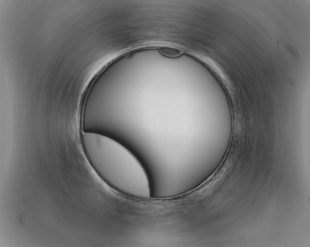 X0000113340910200909151003