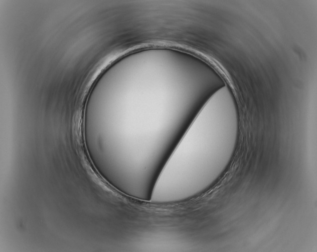 X0000113340911200909151003