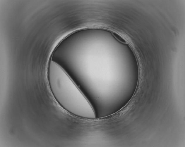 X0000113340912200909151003