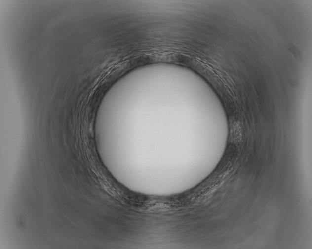 X0000113340913200909151002