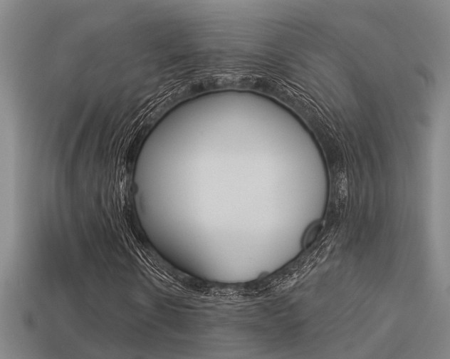 X0000113340914200909151002