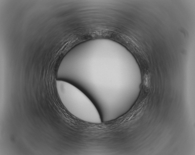 X0000113340915200909151002