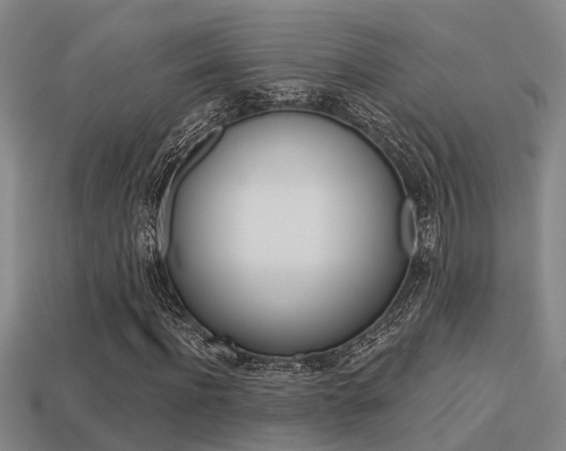 X0000113340916200909151002