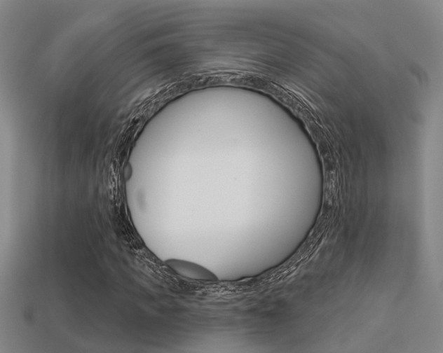 X0000113340917200909151002