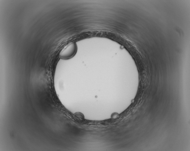 X0000113340918200909151002