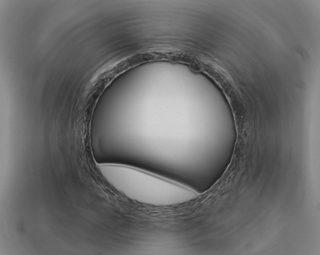X0000113340920200909151002