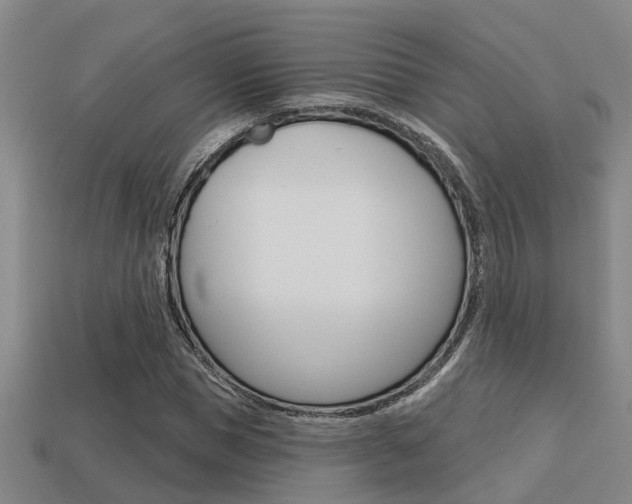 X0000113340921200909151002