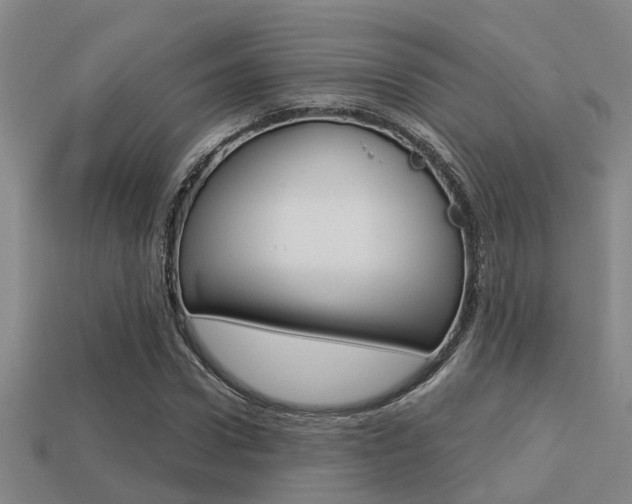 X0000113340922200909151002