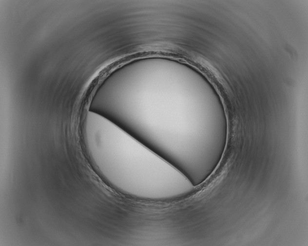 X0000113340923200909151002