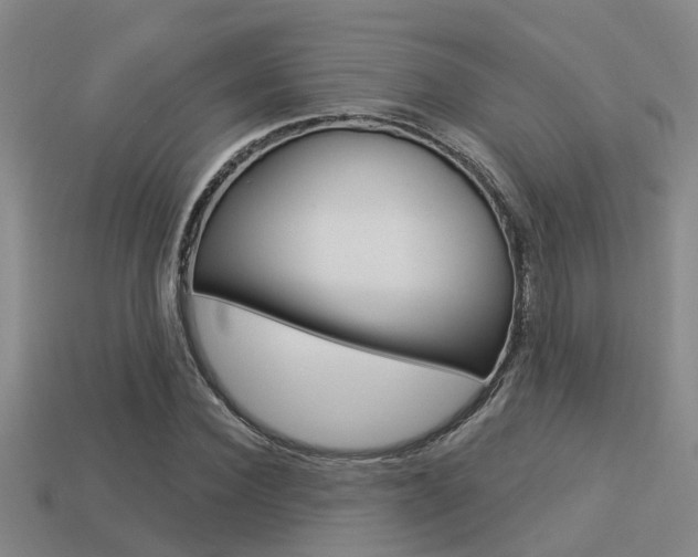 X0000113340924200909151002