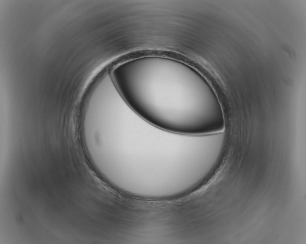 X0000113340926200909151002