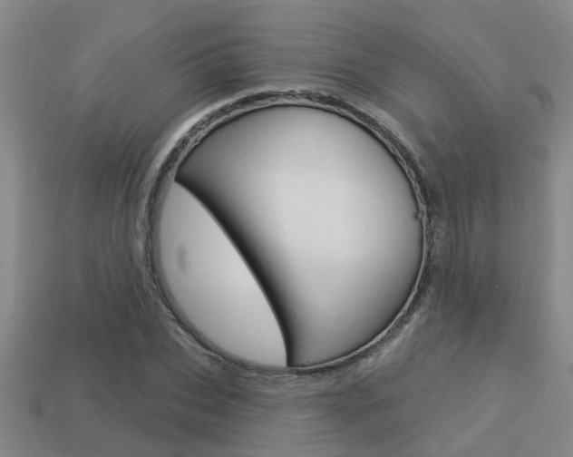 X0000113340927200909151002