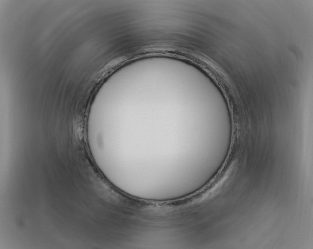 X0000113340929200909151002