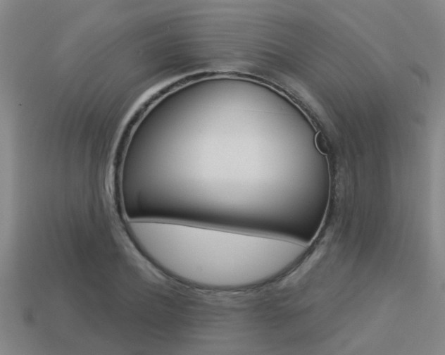 X0000113340932200909151002