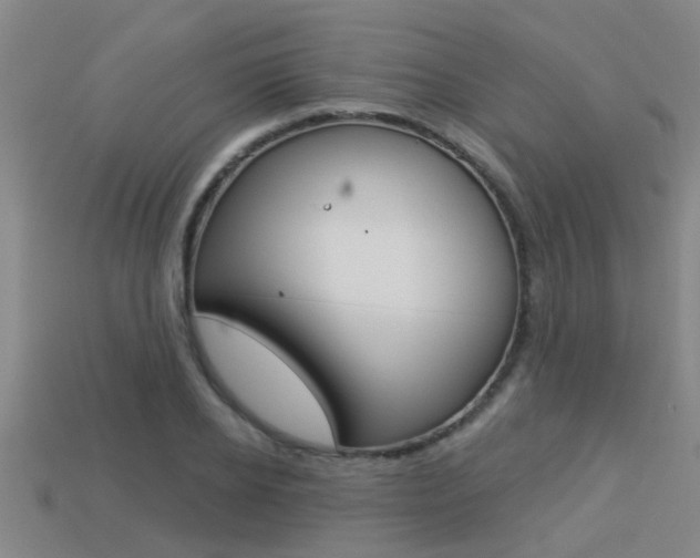 X0000113340934200909151002
