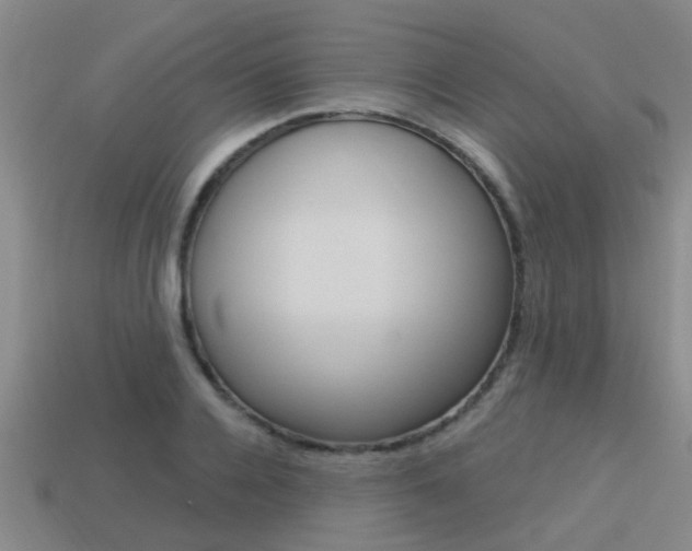 X0000113340936200909151002