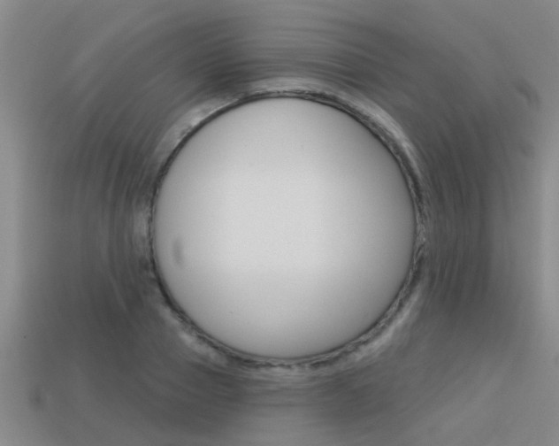 X0000113340937200909151002