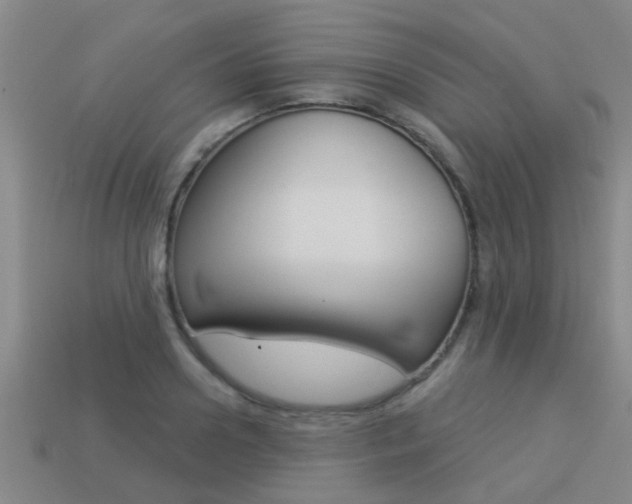 X0000113340938200909151002