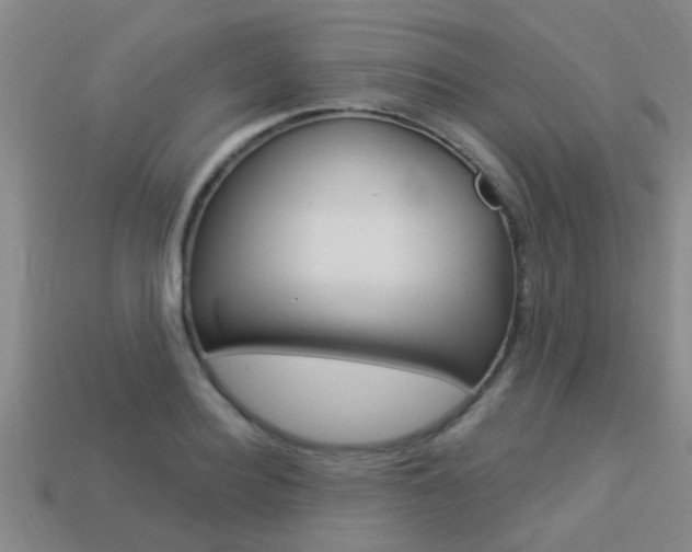 X0000113340940200909151002