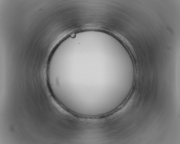 X0000113340941200909151002