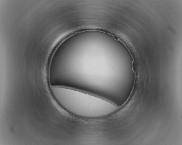 X0000113340942200909151002