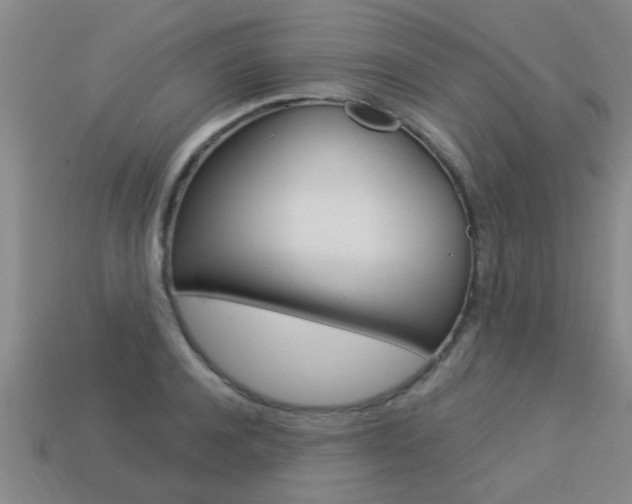 X0000113340944200909151002