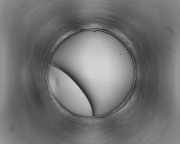 X0000113340945200909151002