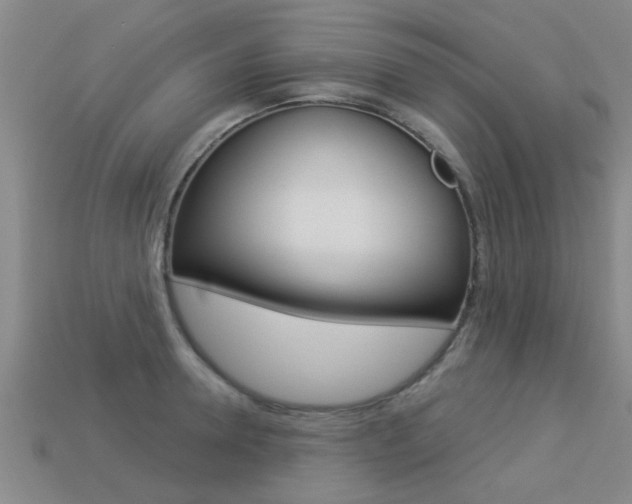 X0000113340946200909151003