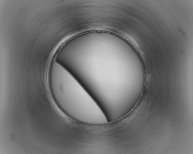 X0000113340947200909151003