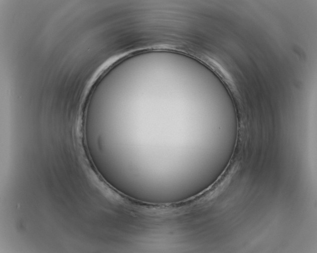 X0000113340948200909151003