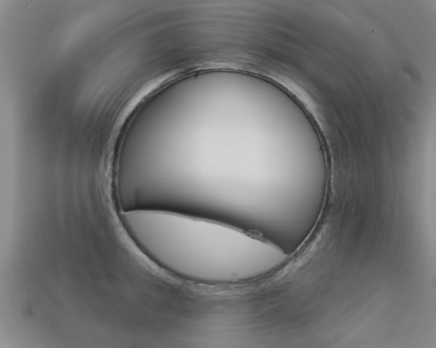 X0000113340949200909151003