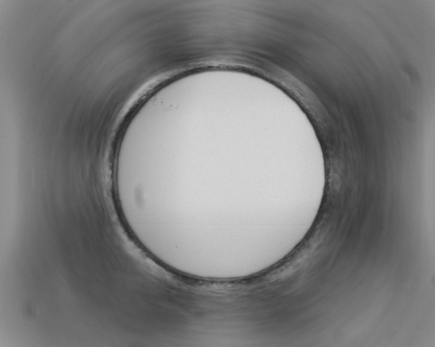 X0000113340950200909151003