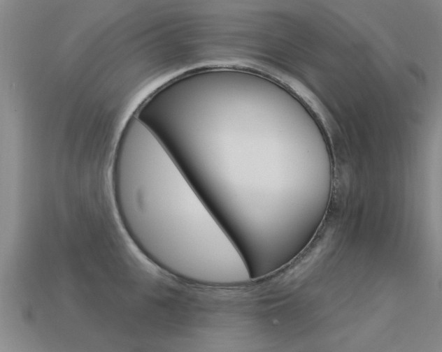 X0000113340951200909151003