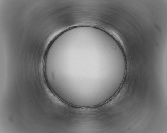 X0000113340952200909151003