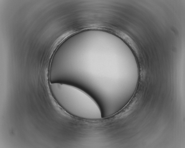 X0000113340954200909151003
