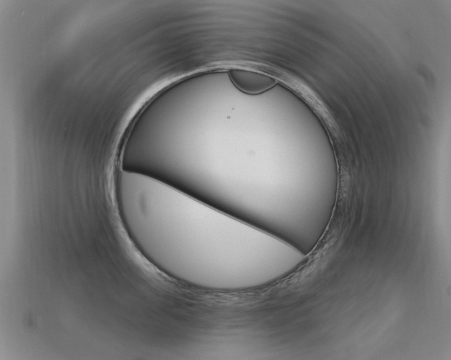 X0000113340955200909151003