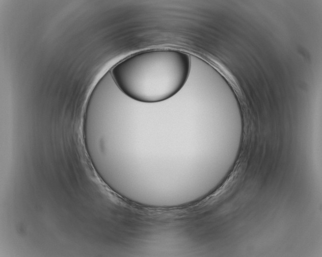 X0000113340956200909151003